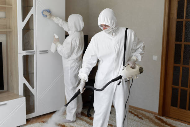 Best Mold Damage Repair  in Liberty Corner, NJ