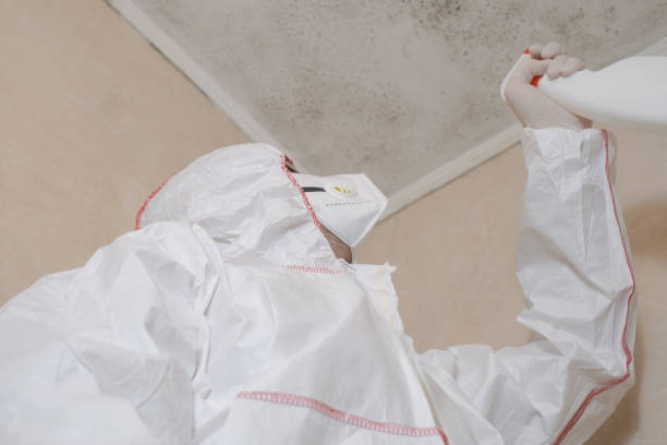 Best Residential Mold Removal  in Liberty Corner, NJ